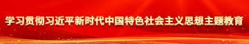 西洋骚货日逼学习贯彻习近平新时代中国特色社会主义思想主题教育