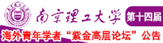 东京骚逼操逼南京理工大学第十四届海外青年学者紫金论坛诚邀海内外英才！